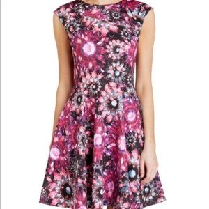 Ted Baker Jewel Print Fit and Flare Dress